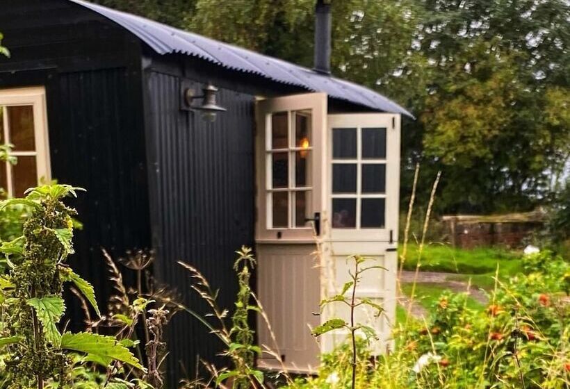 Shepherd Hut Glamping In Northumberland