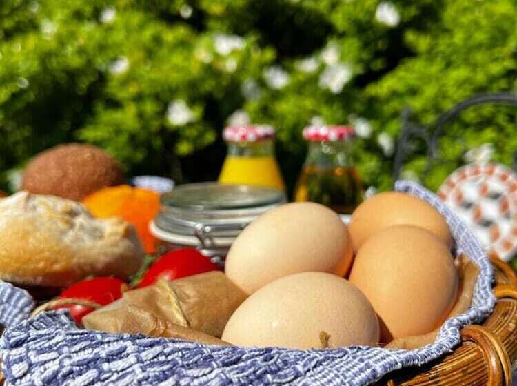 Shepherd Hut Glamping In Northumberland