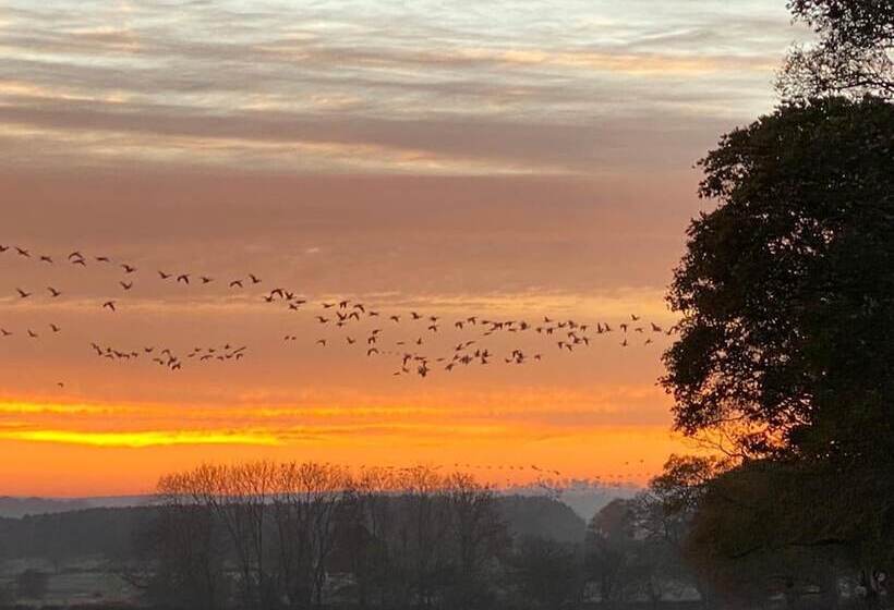 Shepherd Hut Glamping In Northumberland