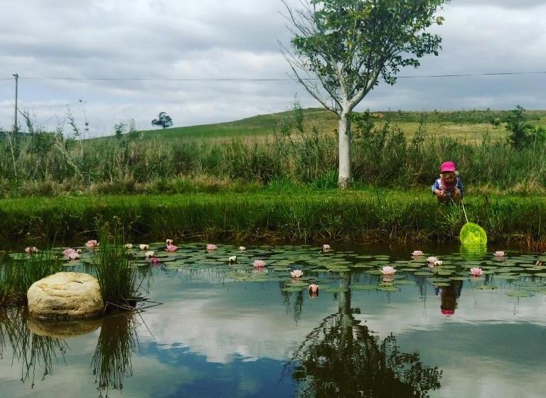 A Log Home At Buffalo Creek