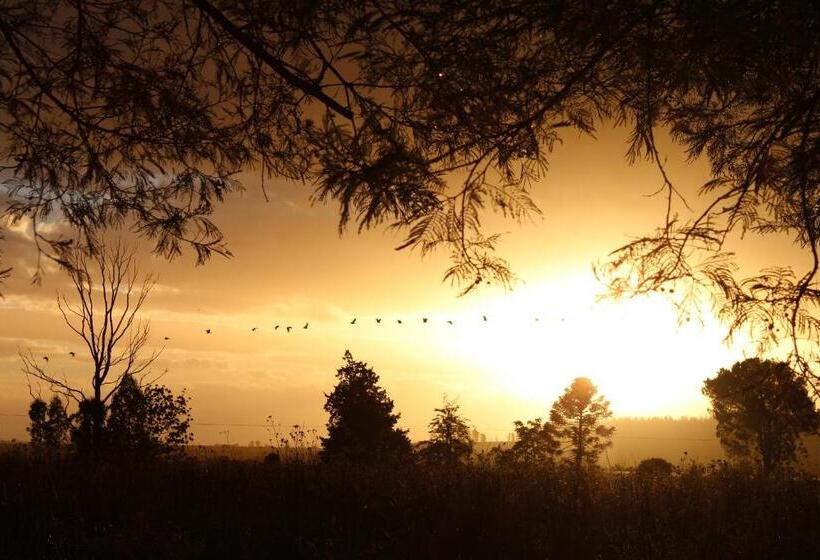 A Log Home At Buffalo Creek
