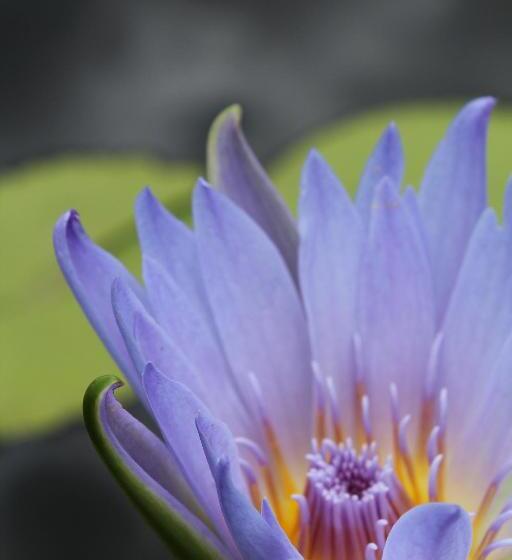 A Log Home At Buffalo Creek