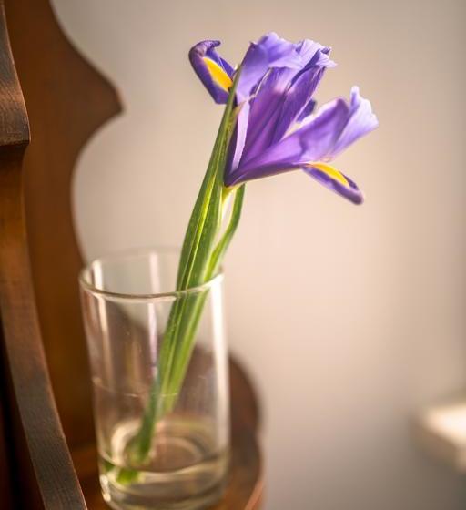 Abundance Bed & Breakfast