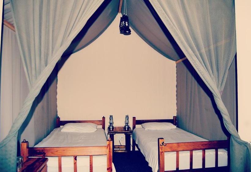 호스텔 Homebase Cape Town