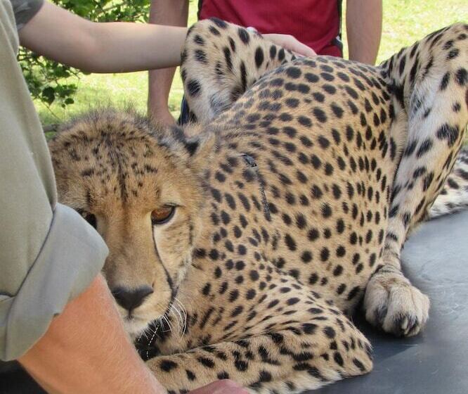 Amanzimlotzi Riverside Bush Camp