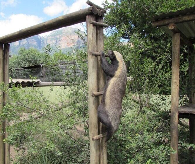 Amanzimlotzi Riverside Bush Camp