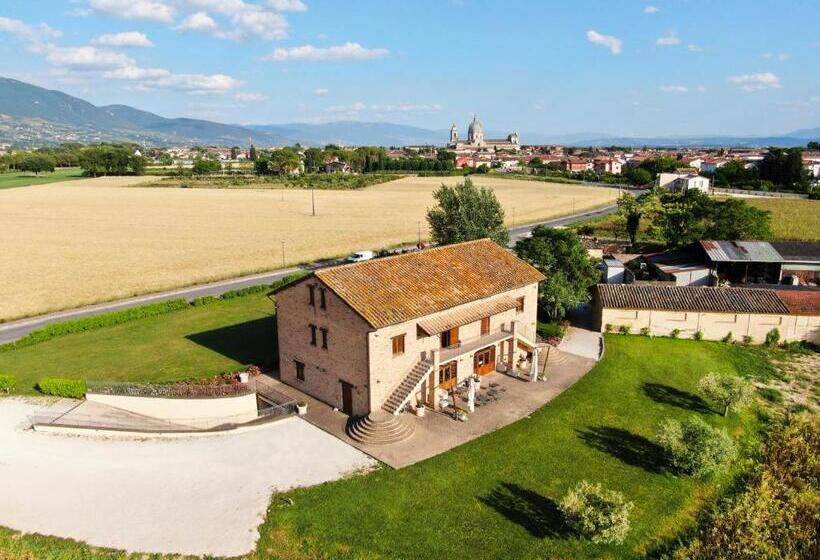 Assisium Agriturismo