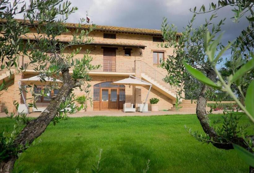 Assisium Agriturismo