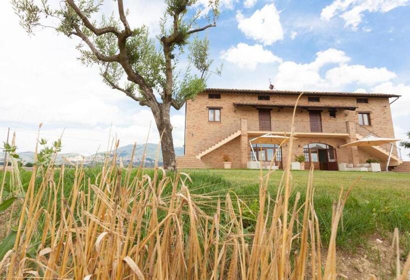 Assisium Agriturismo