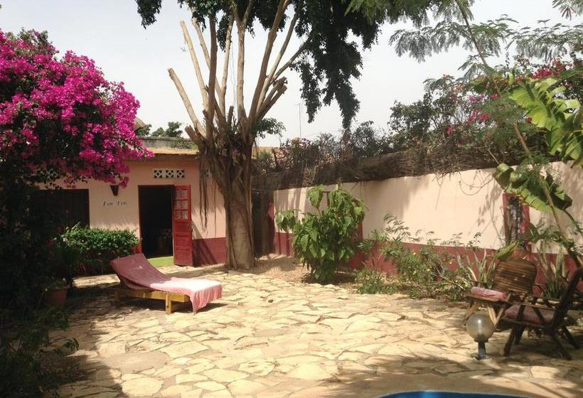 تختخواب و صبحانه Baobab Belge