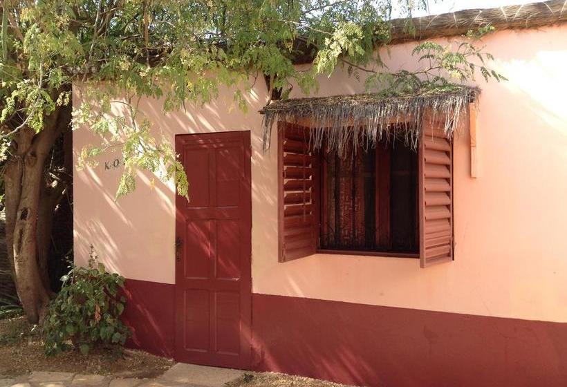 تختخواب و صبحانه Baobab Belge