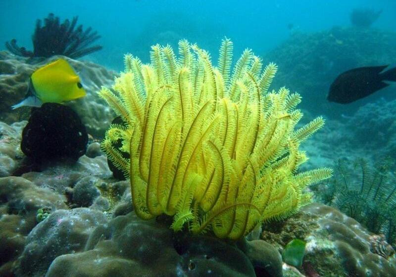 צימר Casita Ysabel