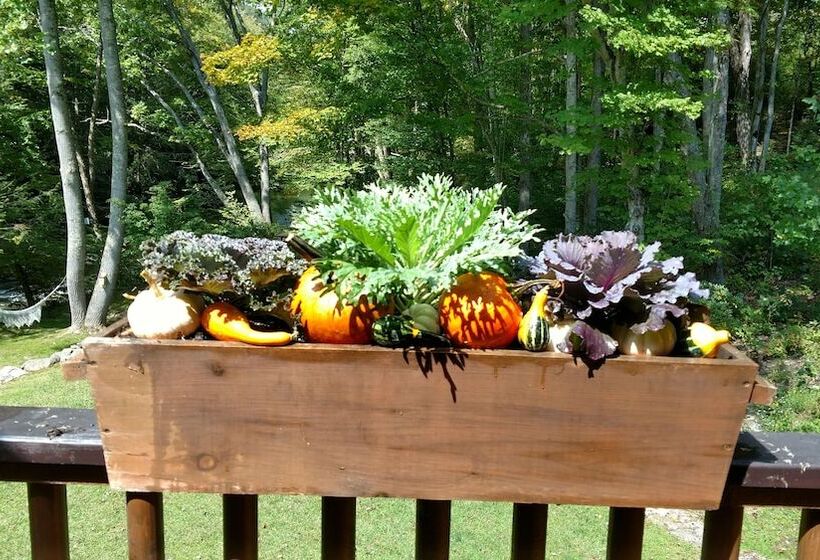 住宿加早餐 The Lodge At River Run