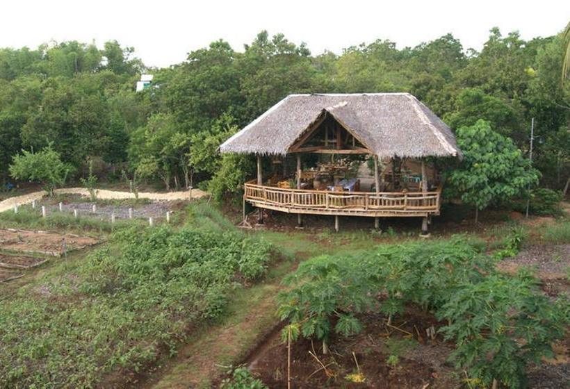 Общежитие Bohol Coco Farm