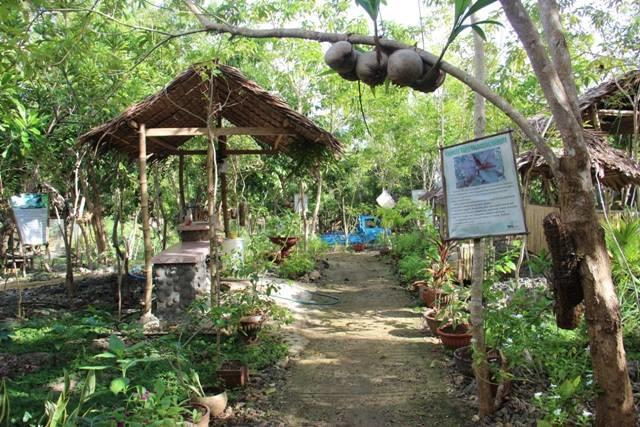 Общежитие Bohol Coco Farm