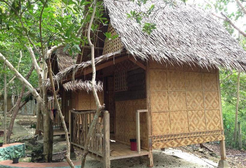 Общежитие Bohol Coco Farm