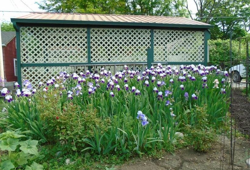 Cobbler Room & Cottage B&b