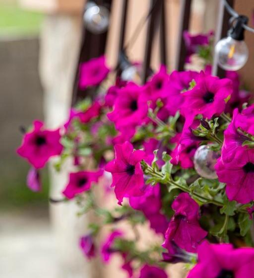 ホテル Hospedaje Villa Pilar