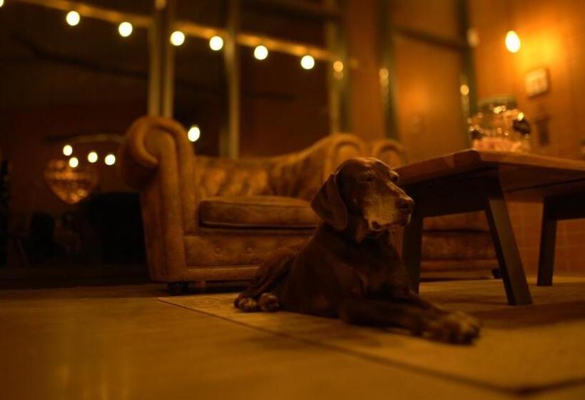 ホテル Hospedaje Villa Pilar