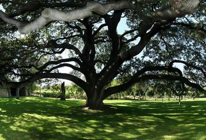 בית מלון כפרי La Casita De La Planta