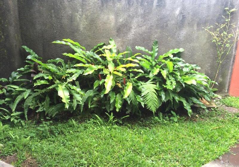 Pacung Indah Hotel And Restaurant