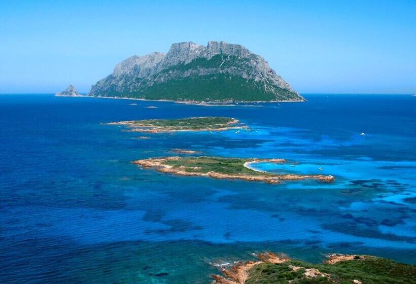 Felix Hotels   Hotel Residence Porto San Paolo