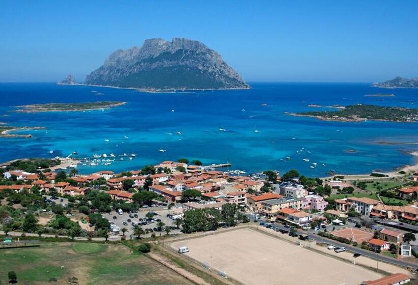 Felix Hotels   Hotel Residence Porto San Paolo