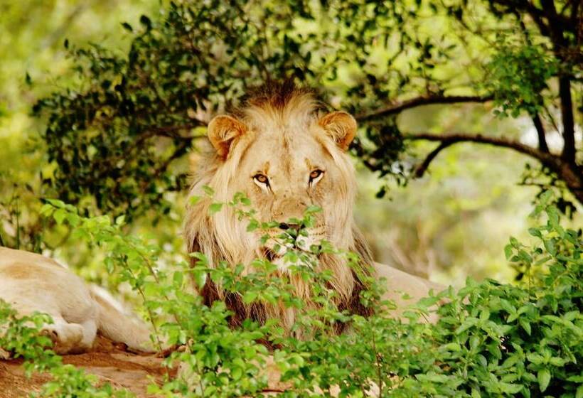 ホテル Sea Star Golf And Safari Resort