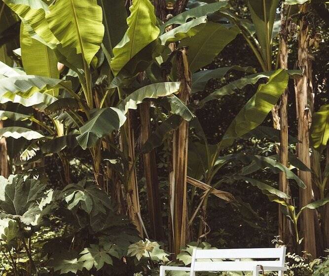 בית מלון כפרי Villa Mirasol