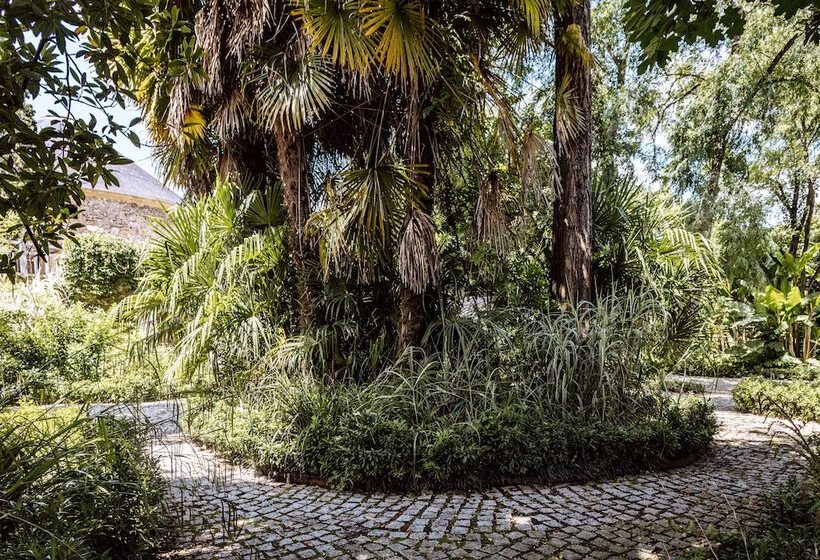 בית מלון כפרי Villa Mirasol