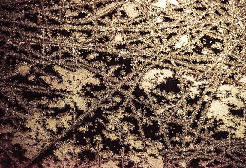 فندق صغير Morino Lodge   Myoko