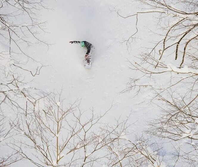 فندق صغير Morino Lodge   Myoko