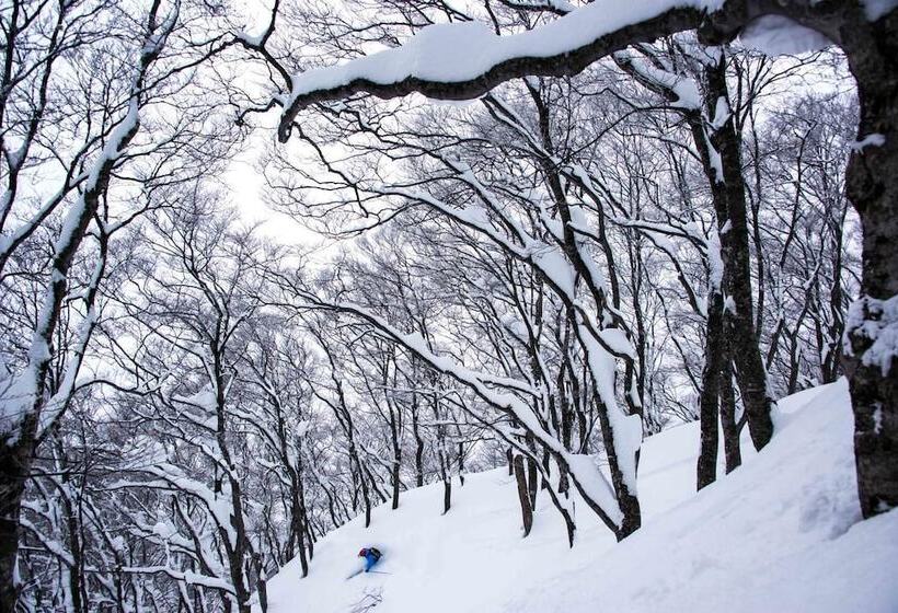 فندق صغير Morino Lodge   Myoko