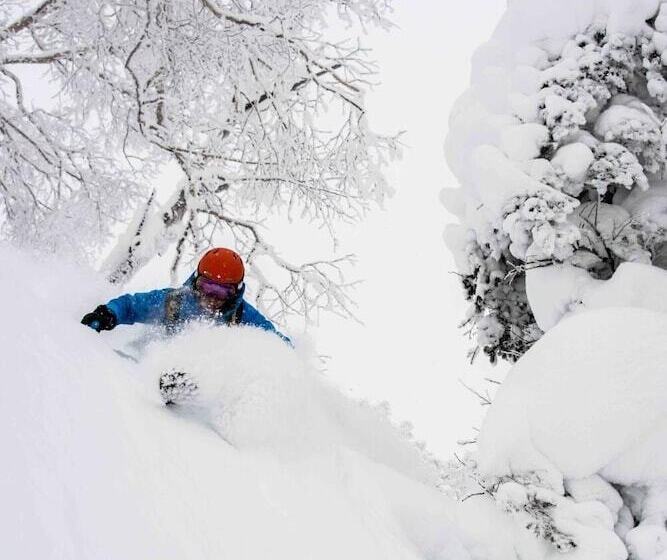 فندق صغير Morino Lodge   Myoko