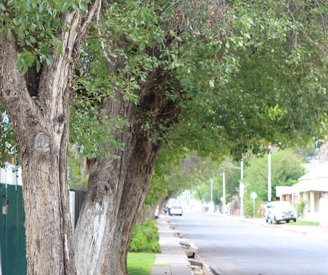 פנסיון 17 On Bird Guest House