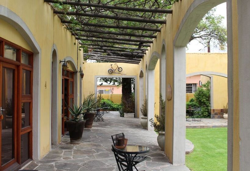 פנסיון 17 On Bird Guest House