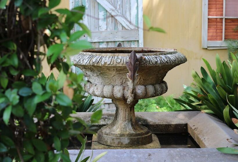 פנסיון 17 On Bird Guest House