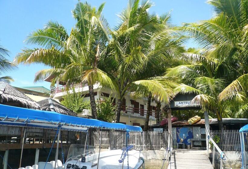 پانسیون Antelope Guesthouse