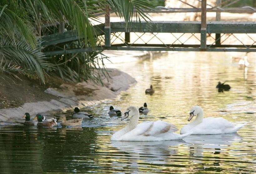 ペンション Beaufort Manor Country Lodge