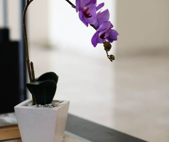 ペンション Cameng Homestay