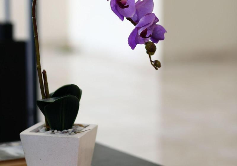 ペンション Cameng Homestay