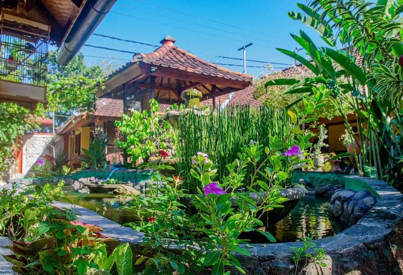 پانسیون Stanley Lombok