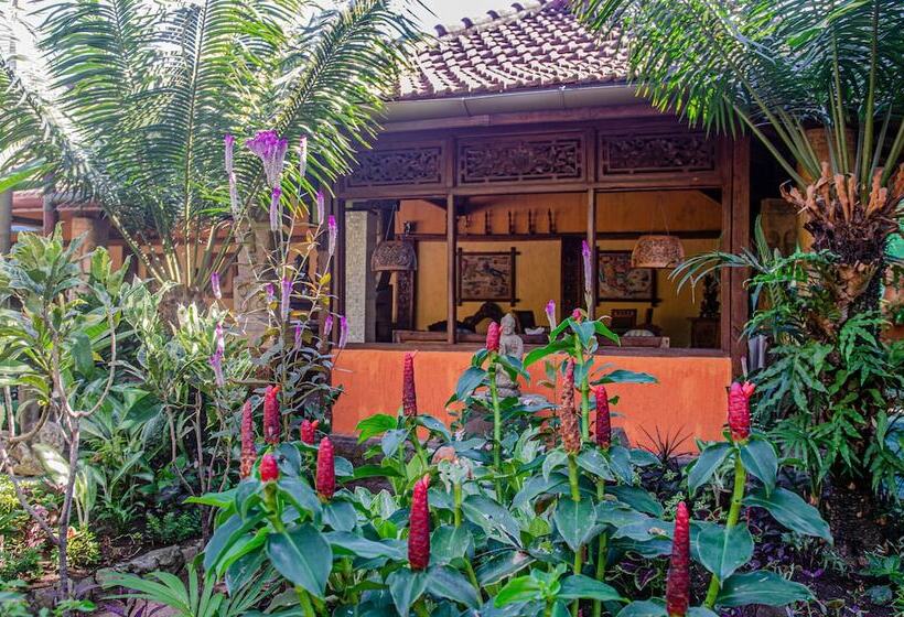 پانسیون Stanley Lombok