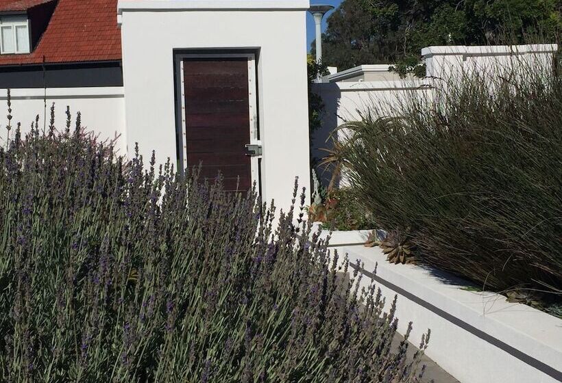 膳宿费 The Blue Lotus Guest House