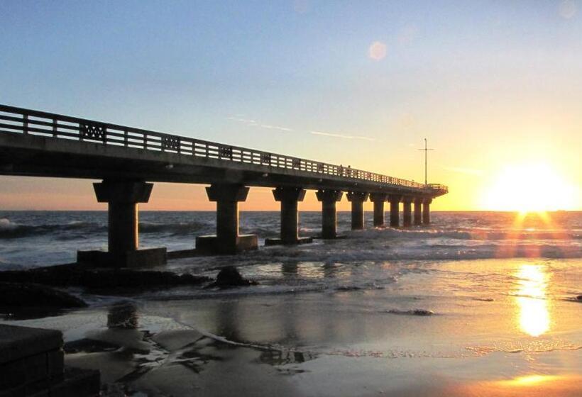 펜션 The Blue Lotus Guest House