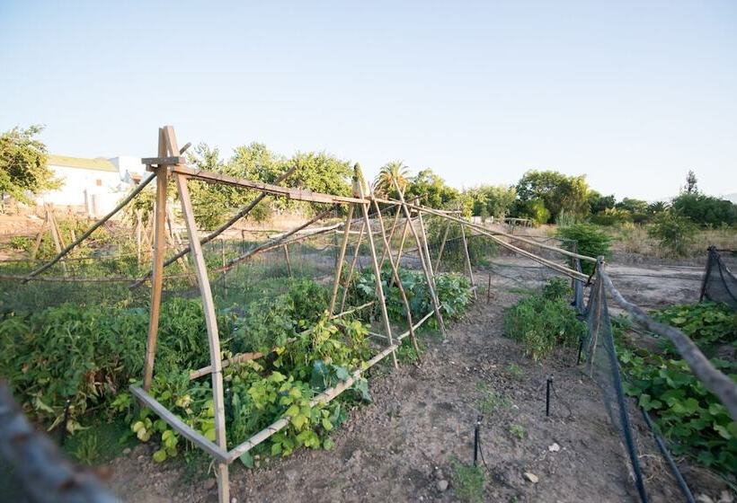 بنسيون Tulbagh Country Guest House   Cape Dutch Quarters