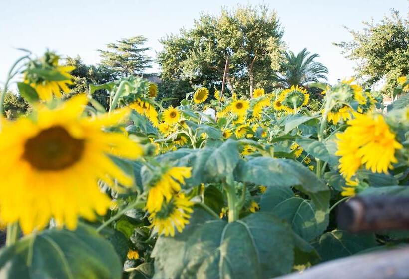 Пансион Tulbagh Country Guest House   Cape Dutch Quarters