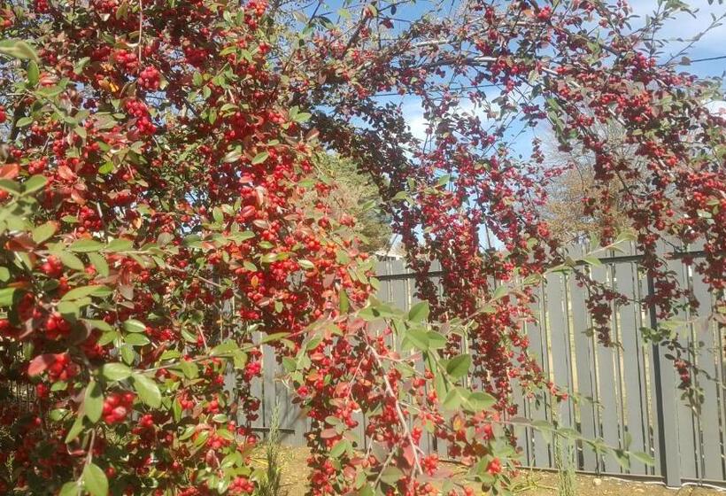 بنسيون Upper House Guesthouse