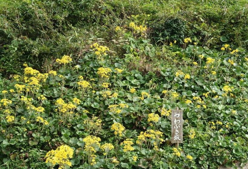 ريوكان Sumiyoshiya