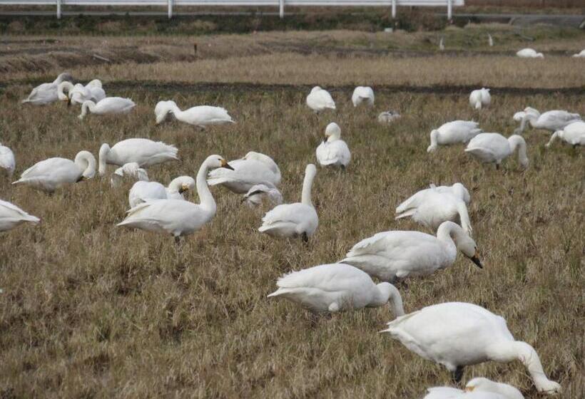 ريوكان Sumiyoshiya